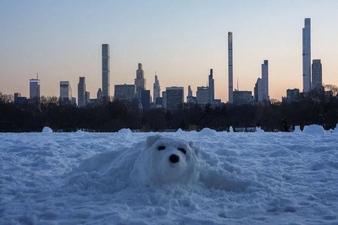A polar bear snow sculpture in front of the Manhattan skyline at sunset in Central Park in New York City, US, on Feb 25, 2026. 