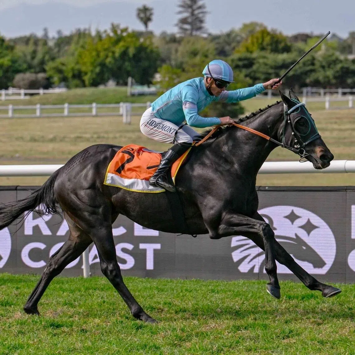 Champion jockey Richard Fourie was aboard at the last four of Questioning's 10 wins in South Africa. The pair recombine in the Gold Challenge (1,600m) at Greyville on June 6 in what will be the Querari gelding's bid to notch a first Group 1 win.
