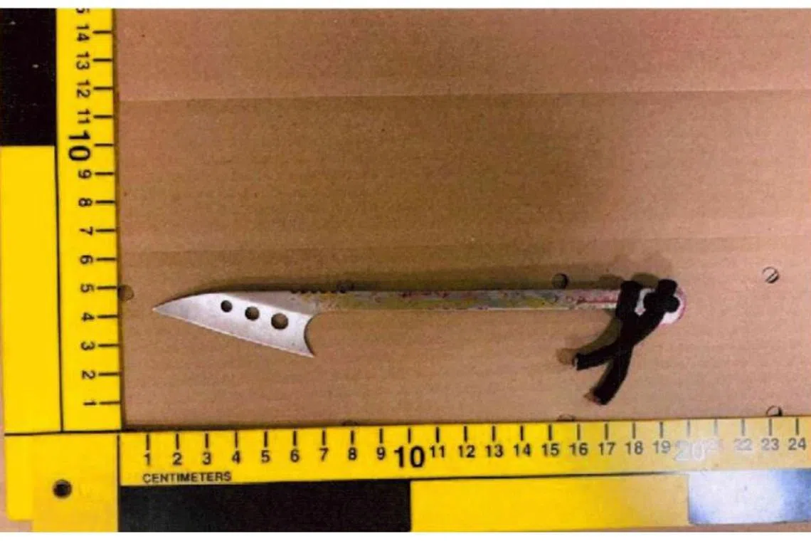 The harpoon had a 6cm-long blade.