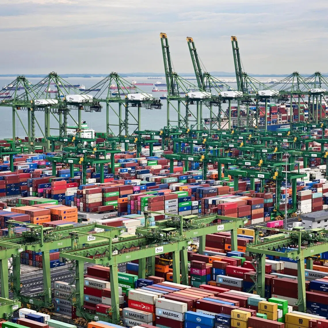 Despite the Iran war breaking out at the end of February, March saw non-oil domestic exports growing for the seventh consecutive month.