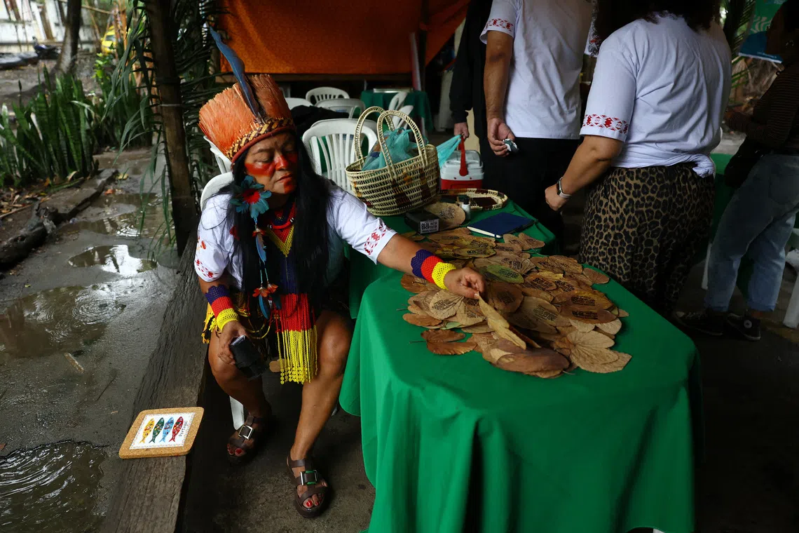 Brazil has record number of Indigenous candidates for general elections