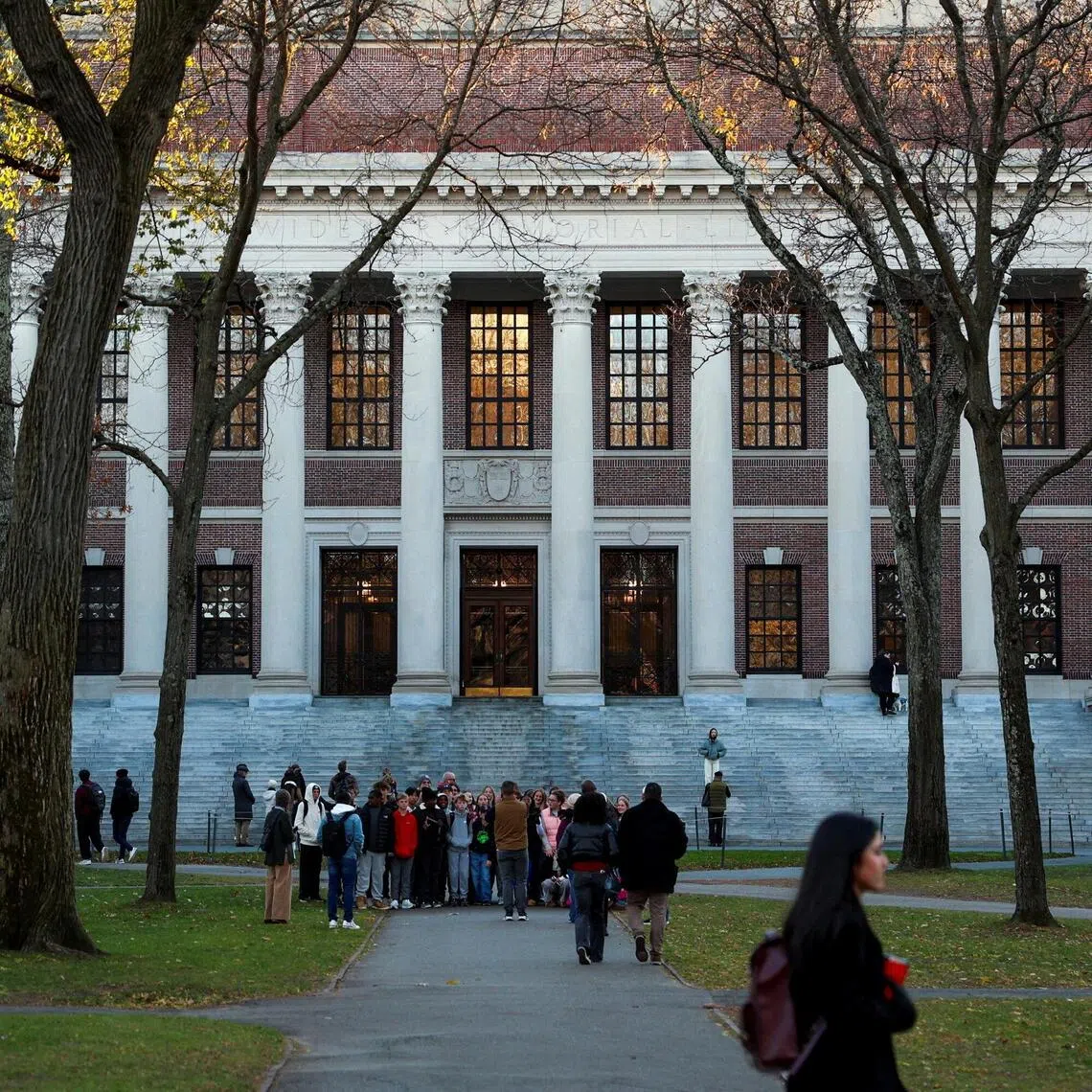 The drop is the clearest signal yet that American universities are likely to see steep international enrolment declines this fall.