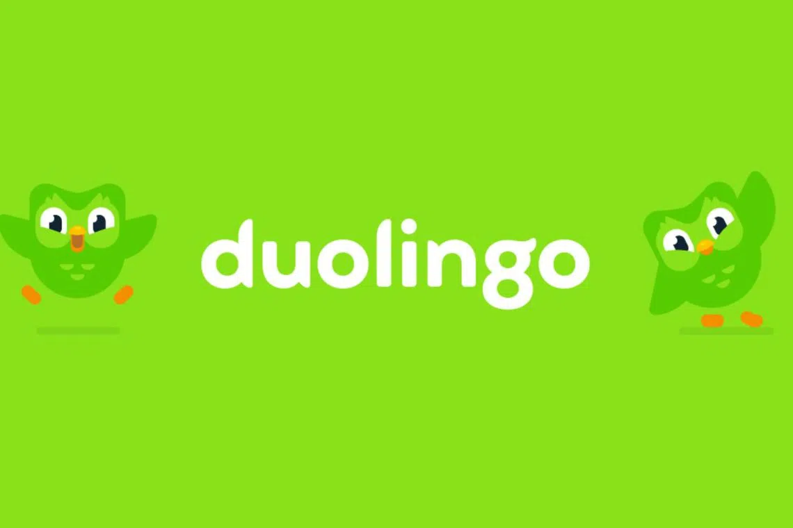 Besides e-mail addresses, the leaked data also indicated if a user had linked their Facebook account to their Duolingo account.
