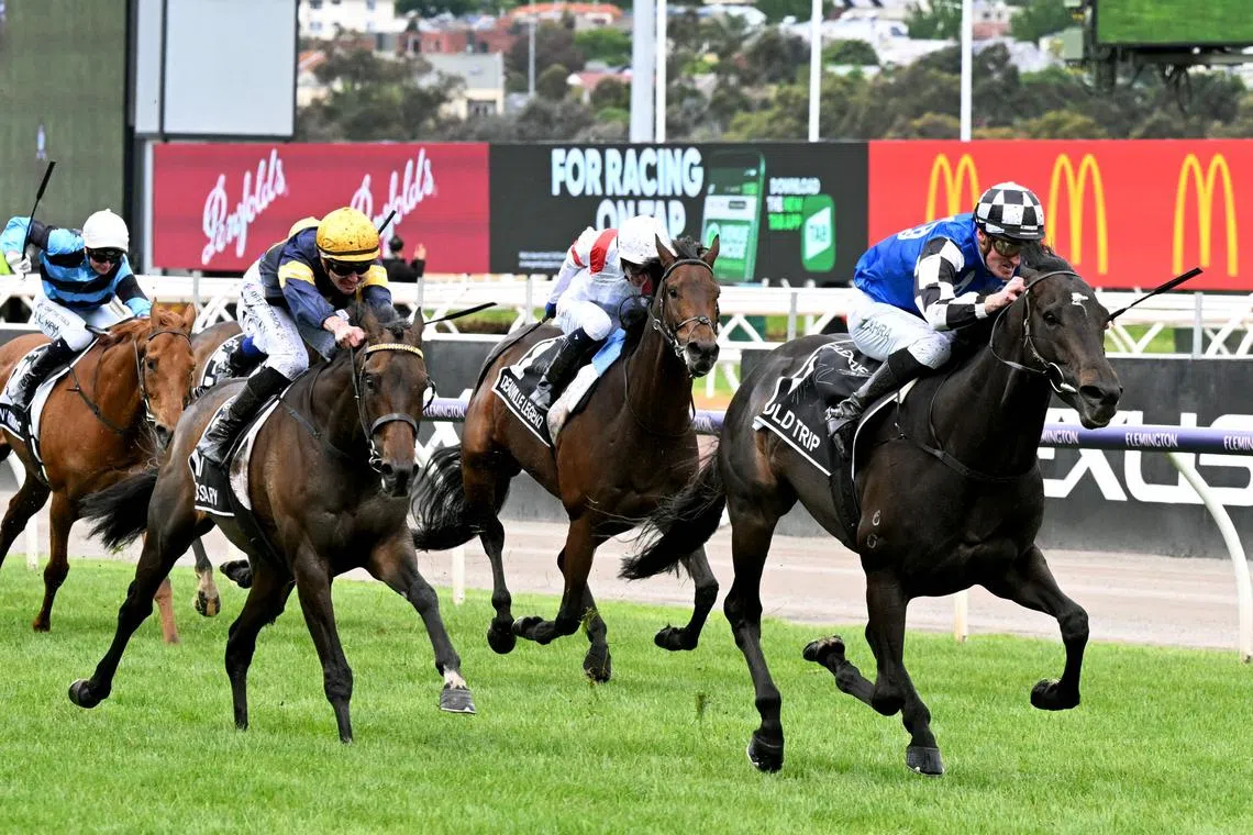 Gold Trip (right) winning the A$8 million (S$7.24 million) Melbourne Cup with jockey Mark Zahra astride at Flemington on Tuesday.