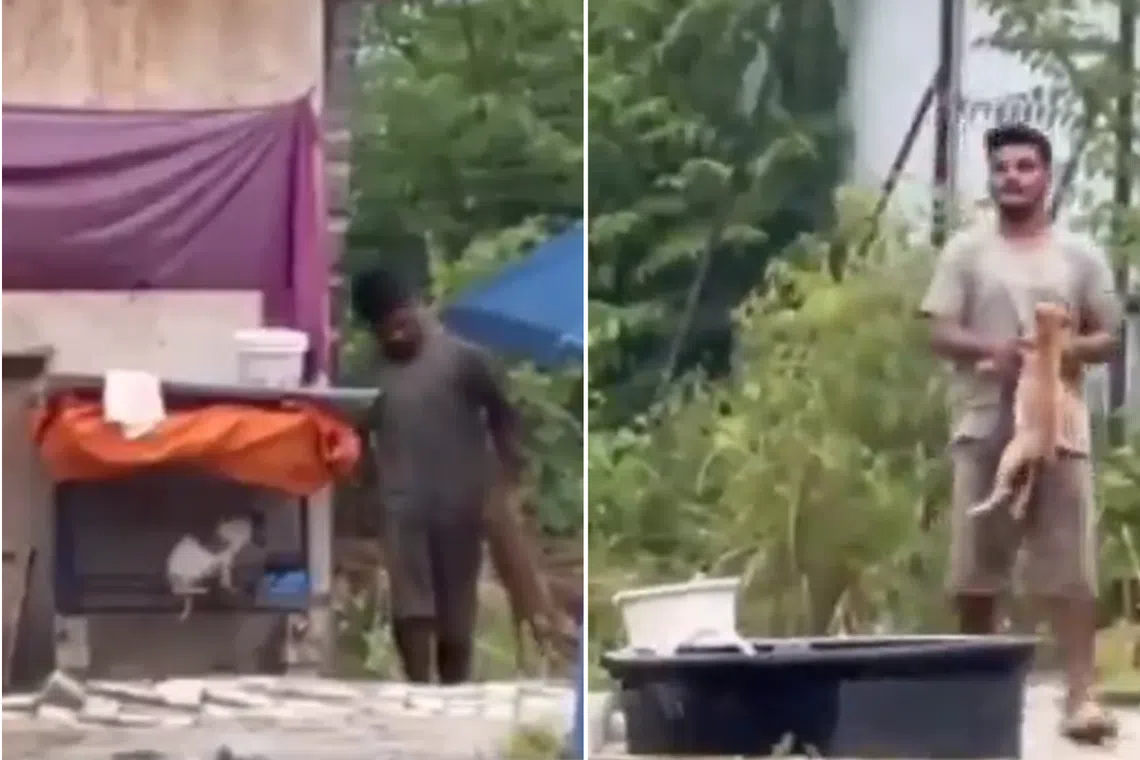 The video showed the suspect acting aggressively by submerging a puppy into a water tank at a construction site in Seksyen, the police said.