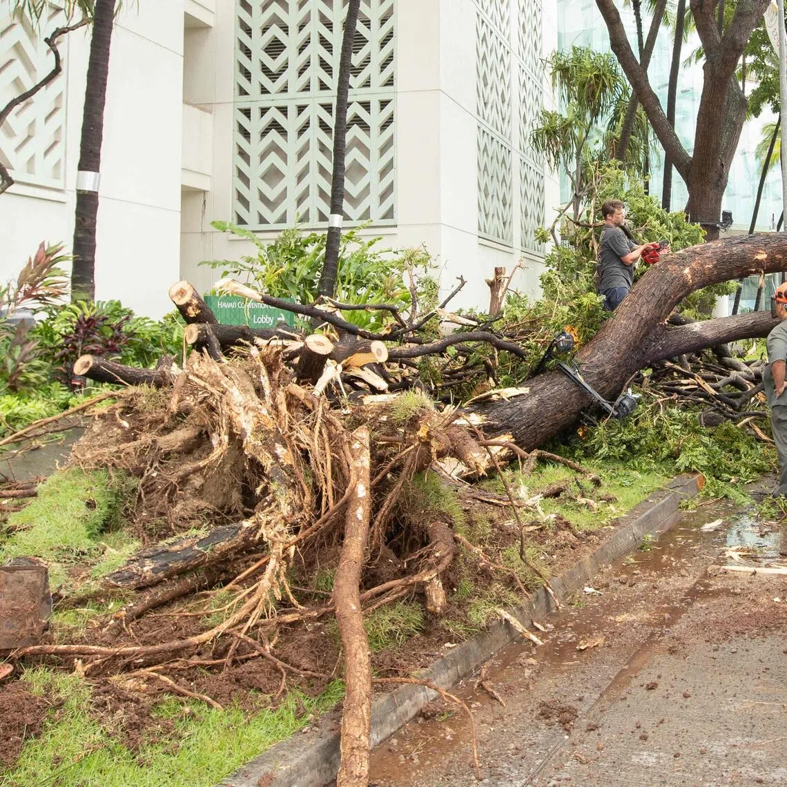 Hurricane Lala was downgraded from a hurricane to a tropical storm early on Aug 16.