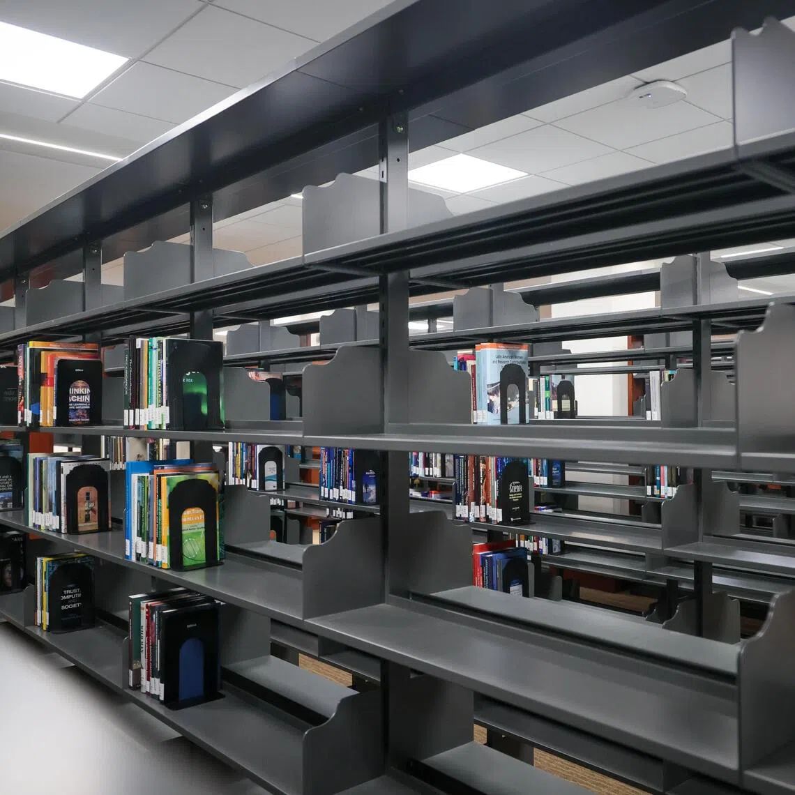 CMG20250521-RChiong01/张俊杰/胡洁梅/Interview with Associate Professor Natalie Pang, University Librarian, National University of Singapore [Yale-NUS Library]

Some of the 8500 of the 9000 books that were due to be recycled were seen on half-empty shelves in the Yale-NUS Library on May 21, 2025.