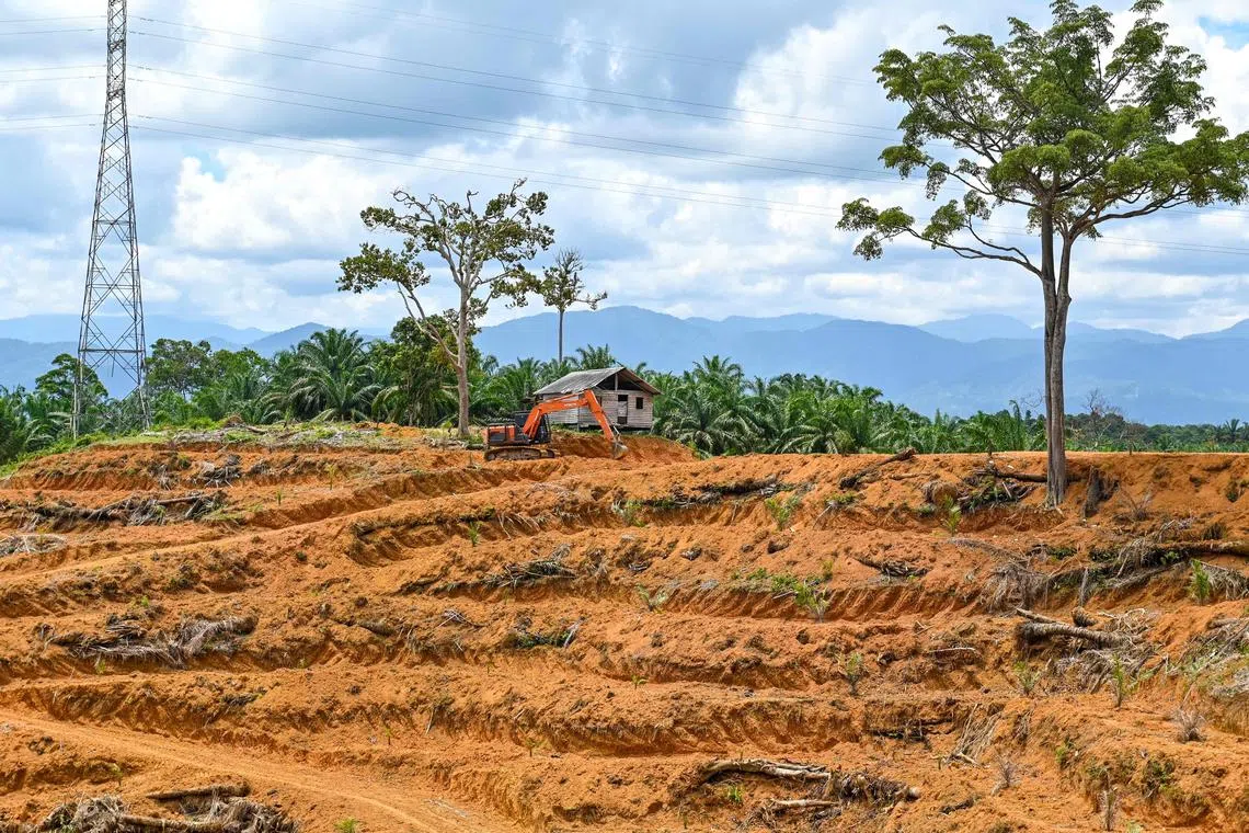 The global palm oil industry is worth about US$60 billion (S$76 billion) and is a major global sector. 