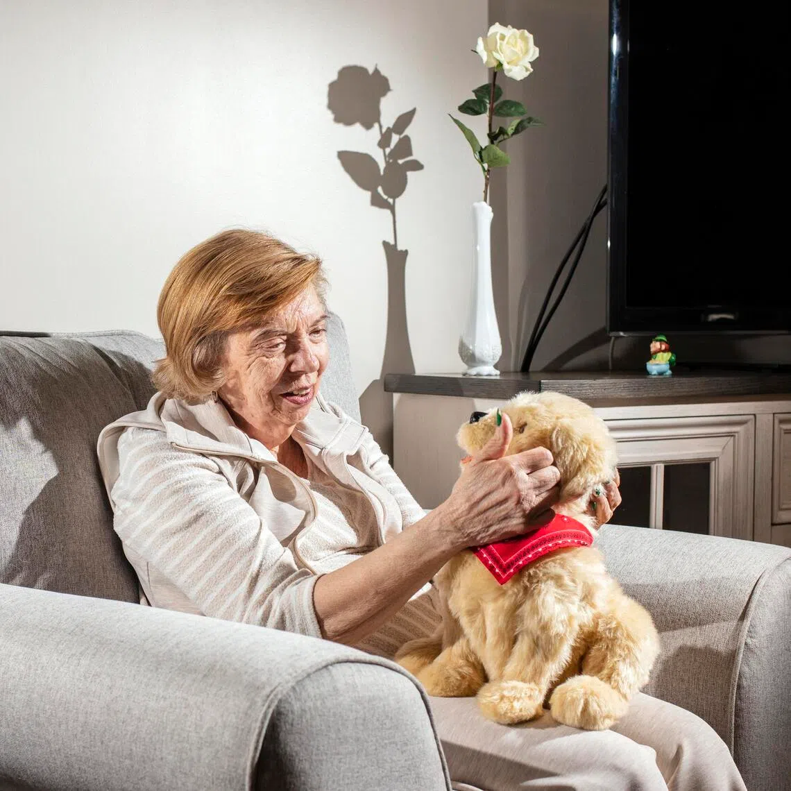 Carol DeMaio, 80, who has dementia, with her robotic dog Sabrina, named after a golden retriever who died, at her home in Garnerville, N.Y., on March 10, 2026. When DeMaio sleeps, the robot dog stays at the foot of her bed, reacting when she stirs awake.(Bryan Anselm/The New York Times)