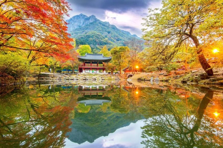 Autumn foliage tour at Naejangsan National Park