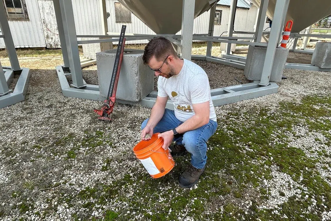 Farmer Lorne Boundy checks out a sample of ryegrass, which is one of the types of grass seed being used for the 2026 World Cup.