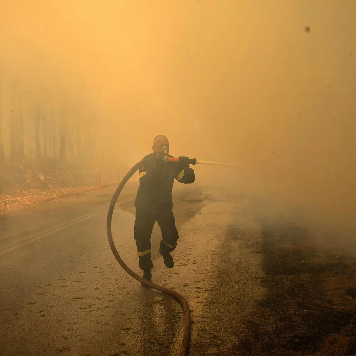 With violent winds blowing for most of the week, firefighters have faced dozens of fires daily