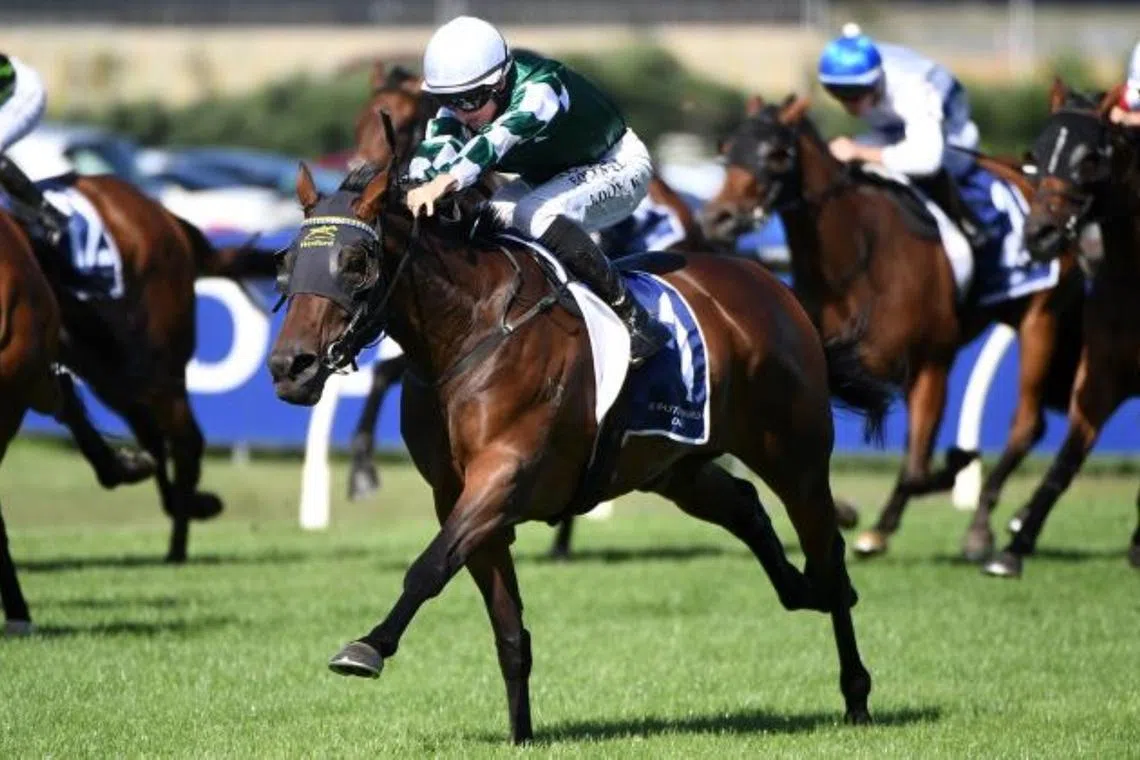 Ohope Wins leads Yulong 1-2 in New Zealand Oaks