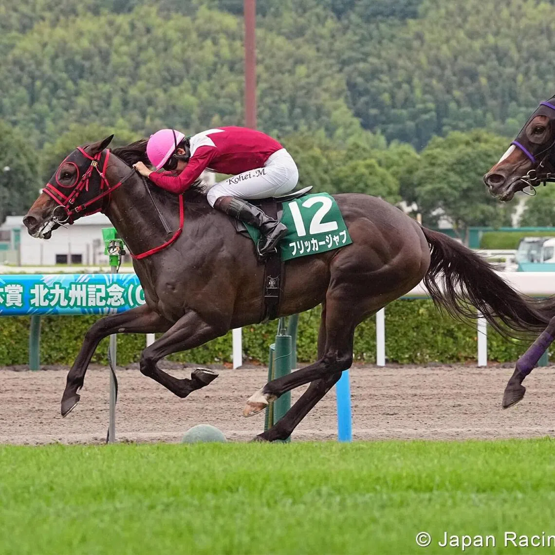 Flicker Jab (Kohei Matsuyama) posting an easy win in the Grade 3 Kitakyushu Kinen (1,200m) at Kokura racecourse in Fukuoka on July 5.

PHOTO: JRA