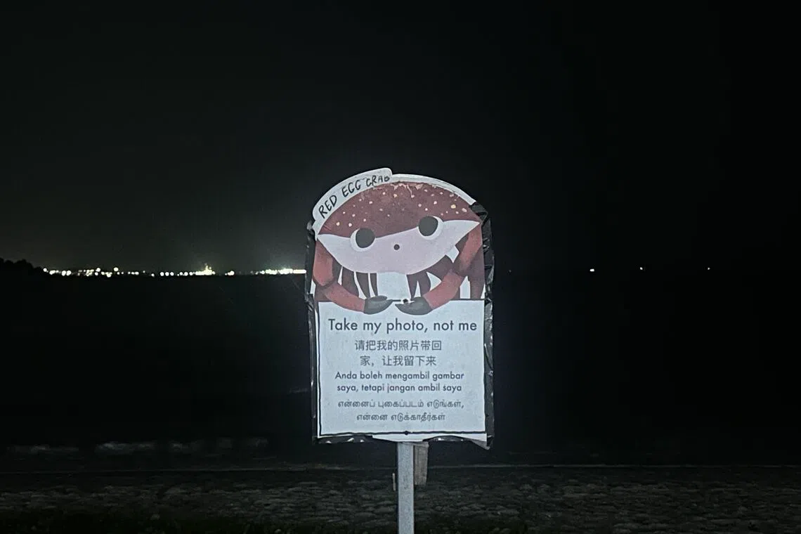A sign at Changi beach encourage visitors to not pick up red egg crabs.