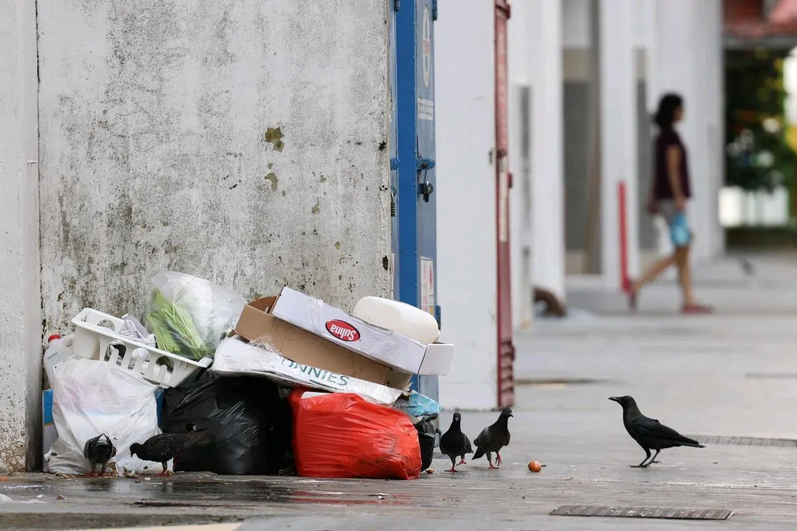 A major part of tackling rats involves removing their food source.