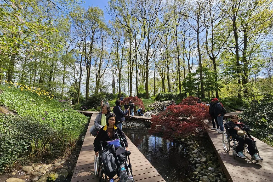 Transport companies, airlines and attractions such as the Keukenhof gardens in Amsterdam are doing more to help people with disabilities to see the world.