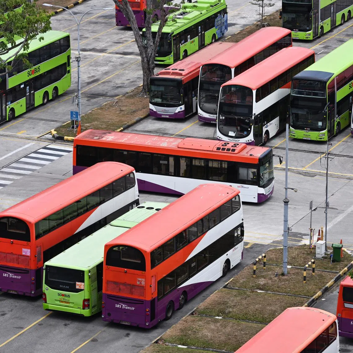 Investors have raised questions ahead of SBS Transit's AGM as the transport operator’s dominance in the bus segment has come under pressure.