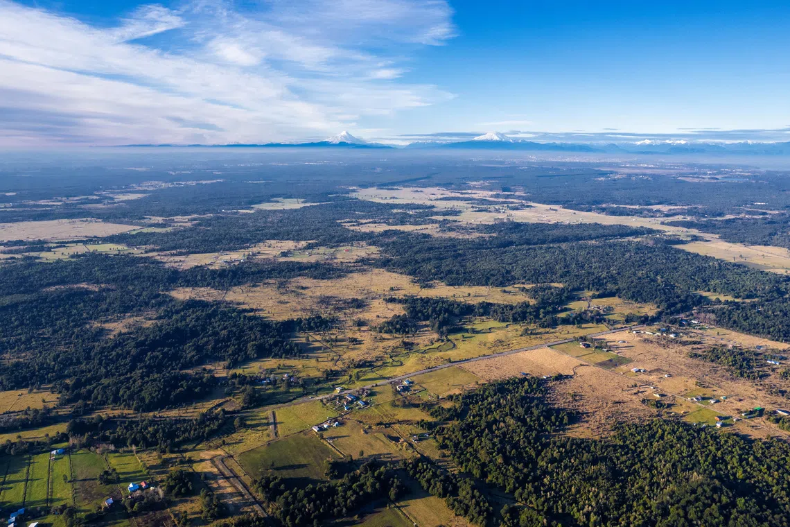 A drone view shows the Monte Verde II site, part of the Monte Verde archaeological complex, 28 km (17 miles) from the city of Puerto Montt in Chile's Los Lagos region, in this handout photo taken in July 2025 and obtained by Reuters on August 31, 2026. Jorge Guzman/Francisco Donoso/Handout via REUTERS