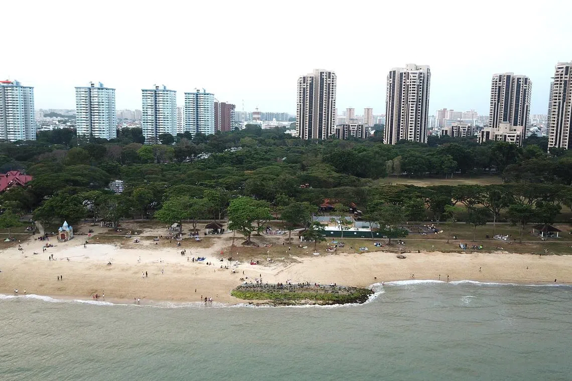 The authorities will begin extensive studies on reclamation plans that are expected to yield about 800ha of land that will protect the East Coast area from sea-level rise and create space for development.