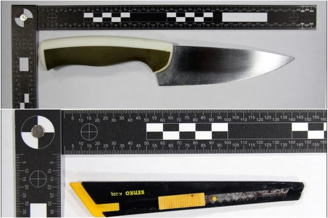 The 14-year-old boy identified a kitchen knife and penknife at home as potential weapons.