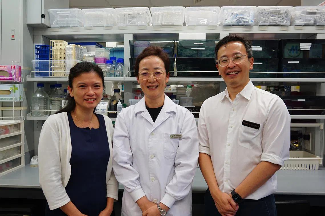 (From left) Associate Professor Andrea Low, Dr Fan Xiubo and Associate Professor Ng Chin Teck are part of the SGH research team which found that restoring the balance of a protein in blood could help in the treatment of lupus.