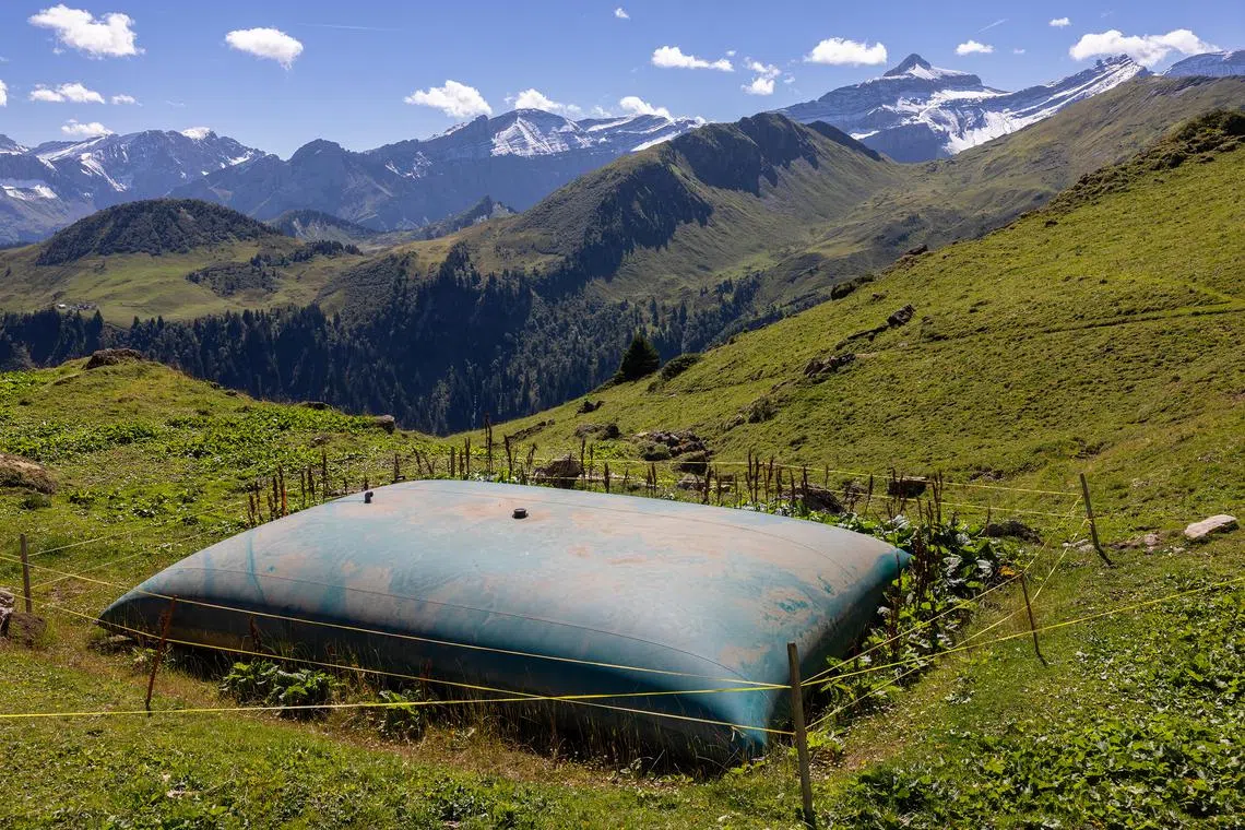 A water bladder that the Mottier family installed at their Alpine dairy farm to cope with more frequent droughts, near L’Etivaz, Switzerland, Sep 1, 2023. 