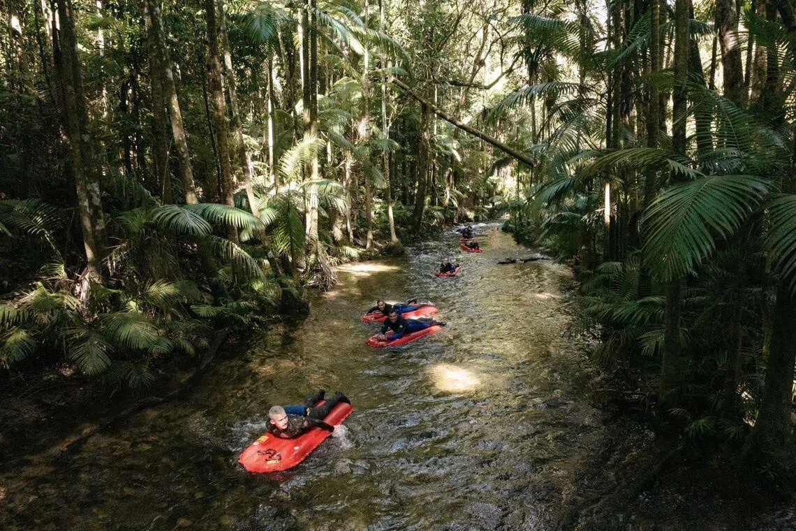 Daintree Rainforest, Mossman Gorge River Adventure Day