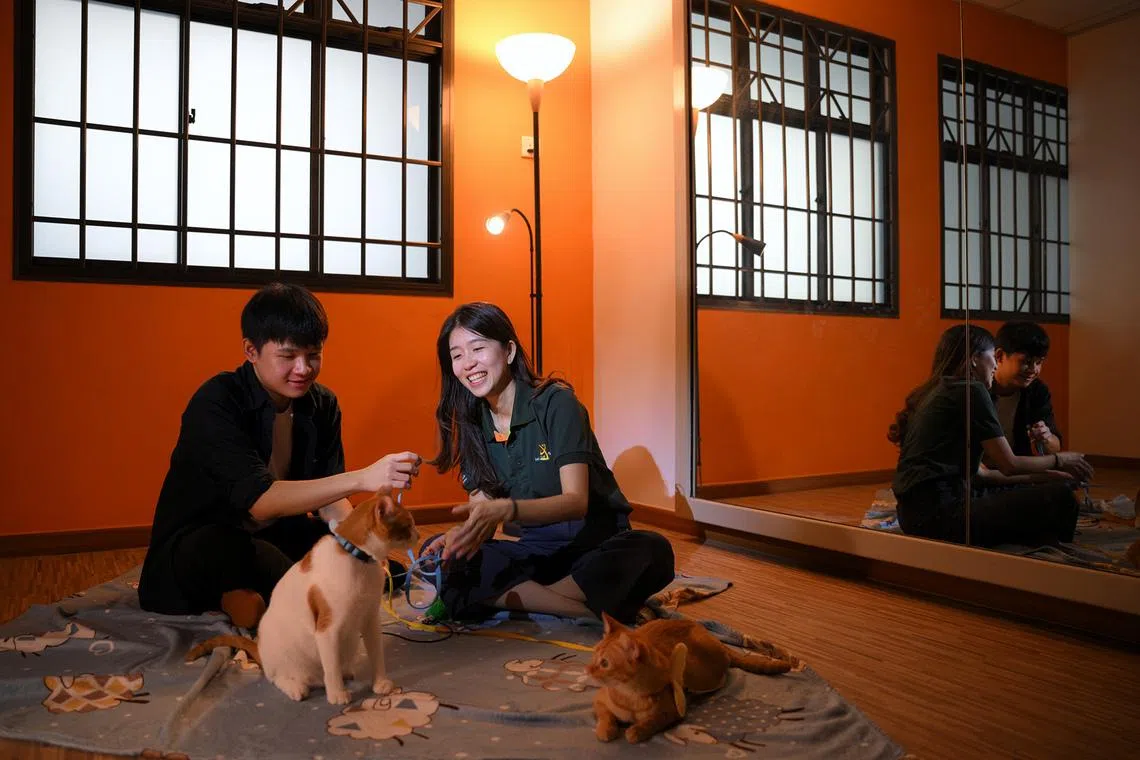 Senior Social Worker Zoe Tee (right), 34, during an animal assisted intervention session with Goay Zhen Yi, 16, on March 7, 2026.