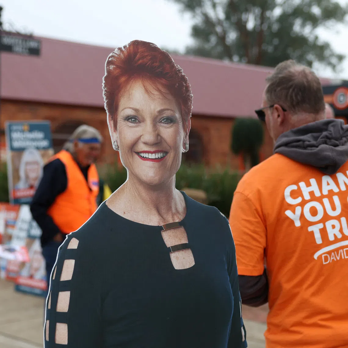 One Nation, led by Senator Pauline Hanson, overtook Labor in a national opinion poll ​for the first time in June.