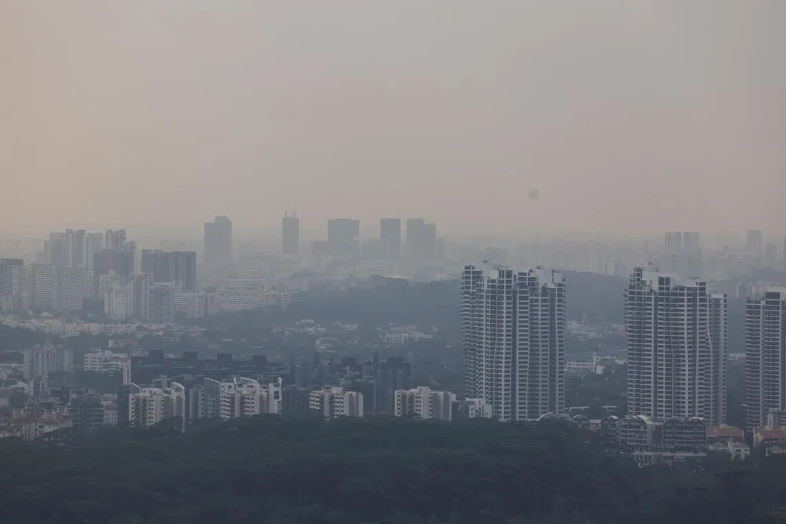 Haze particles carry polycyclic aromatic hydrocarbons, which can set off a receptor in skin cells that increases pigment cell activity and activates an enzyme that breaks down collagen – in effect, aging the skin chemically in the same way cigarette smoke does.