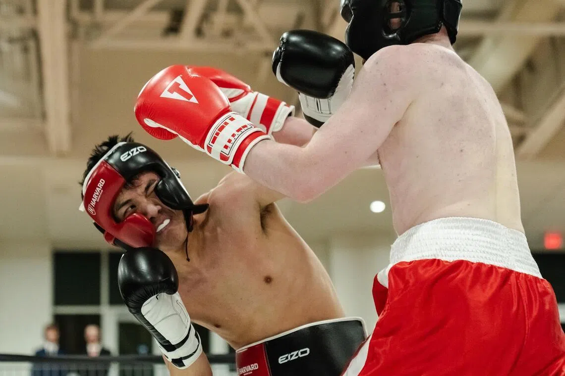 Harvard University freshman Ryan Jiang (left) trades punches with Mr Colin Brazas, a senior from the Babson Boxing Club, during a bout at Babson College in Wellesley, Massachusetts, on April 24, 2026. 