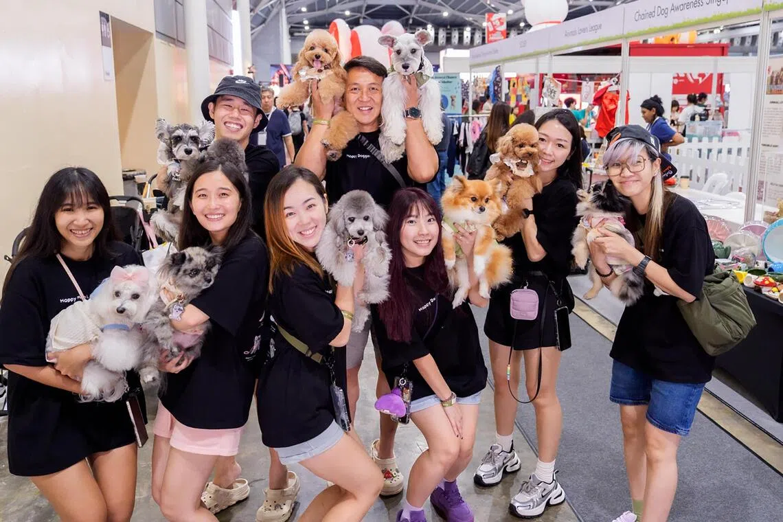 PetExpo Fiesta 2025 will be held at Singapore Expo Hall 7 from Nov 14 to 16. 