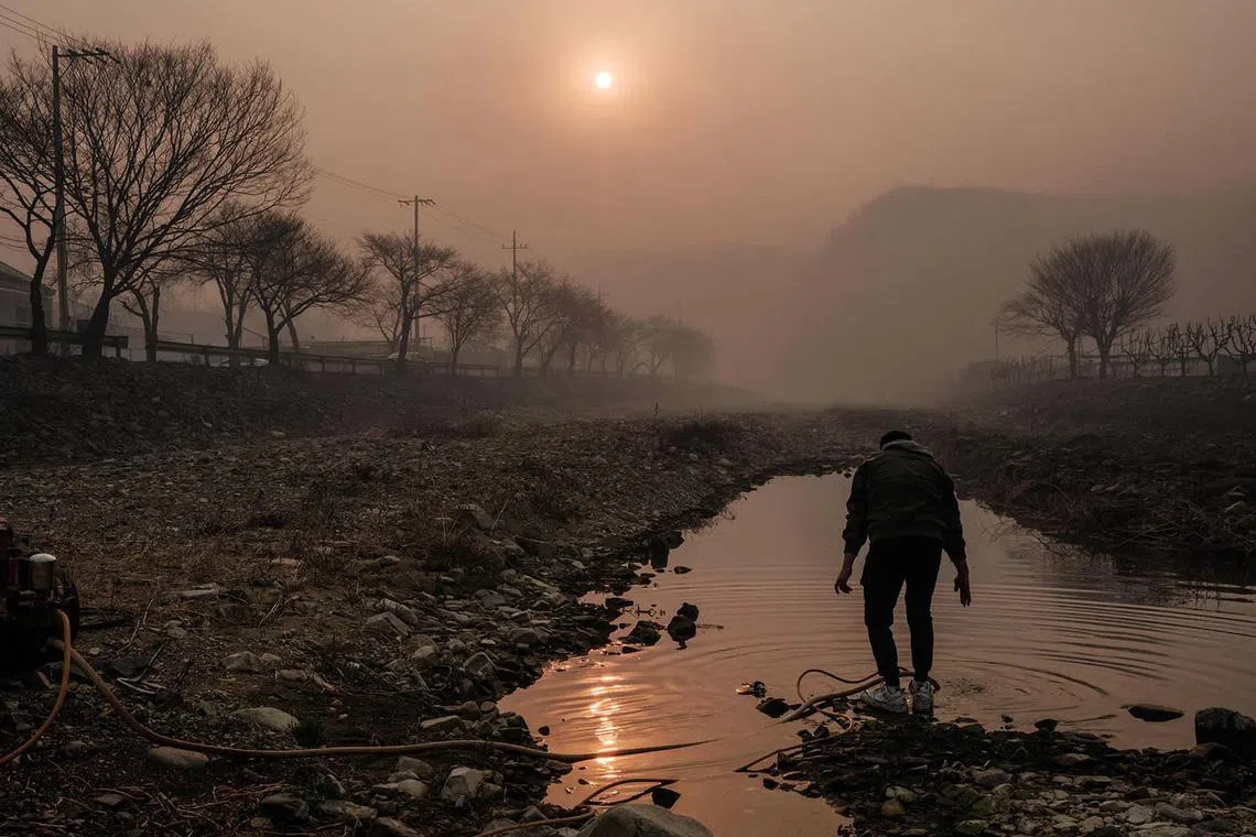 A man drawing water from the Anmangcheon River to extinguish embers among the debris after a wildfire burned down his property in Uiseong on March 26, 2025. At least 18 people have been killed in one of South Korea's worst wildfire outbreaks, with multiple blazes burning and causing "unprecedented damage", the acting president said. 