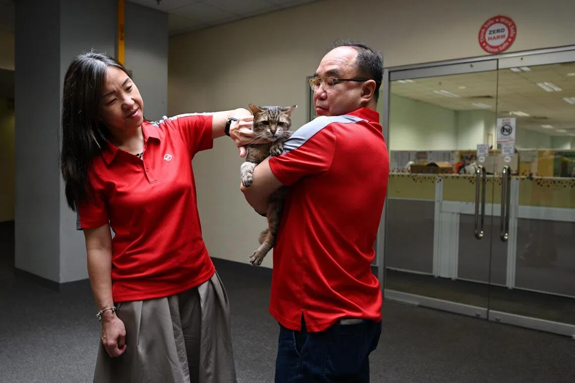 SMRT Trains’ Daniel Siew, 52, engineering maintenance manager, and Zanna Lee, 50, senior manager, plans and resource management, with Cassidy.