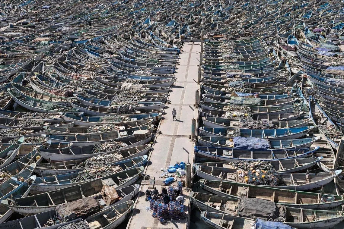 A fisherman walking past docked pirogues at the Port Artisanal in Nouadhibou, Mauritania on April 22, 2026. 