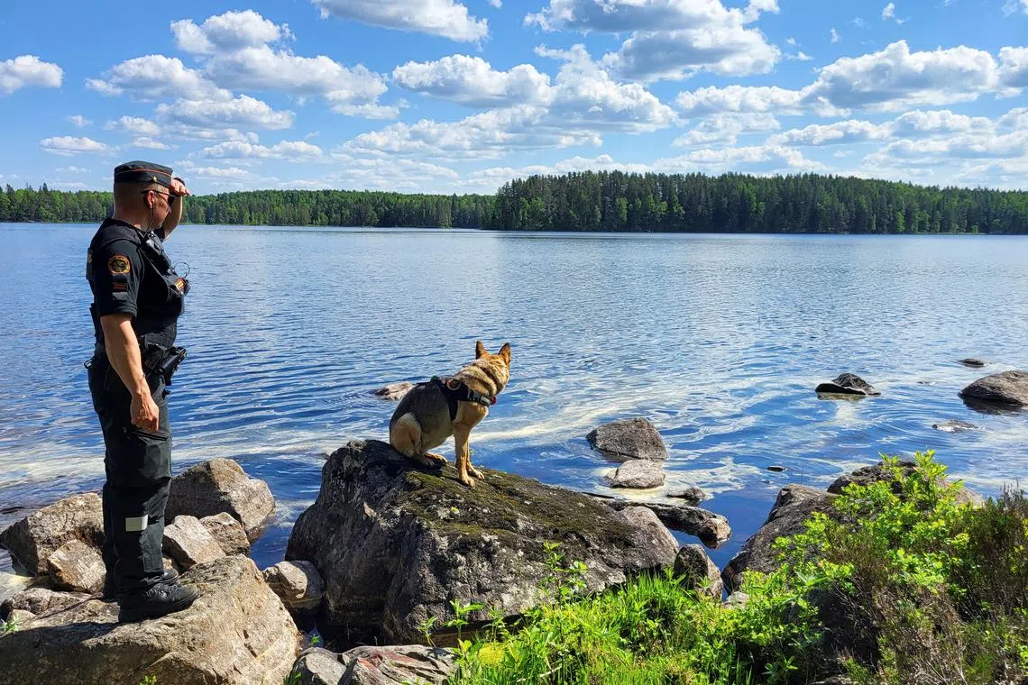 A Finnish border guard and their dog Nita patrol the Finnish-Russian border which is marked by a narrow clearing in the forest near Hoilola village, in Eastern Finland, June 5, 2024. REUTERS/Anne Kauranen/File Photo