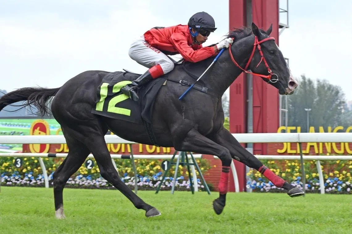 4YO Banker’s Smile is on the up and up