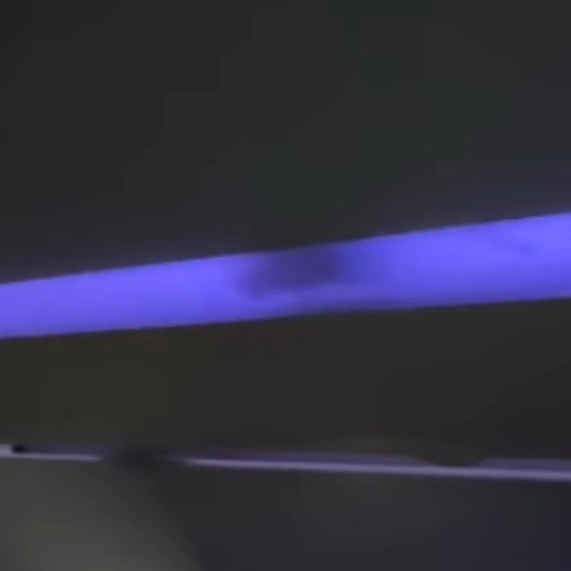 A large rat was spotted scurrying across the ceiling lighting fixtures near the overhead bins of a JetBlue flight from Los Angeles to New York.