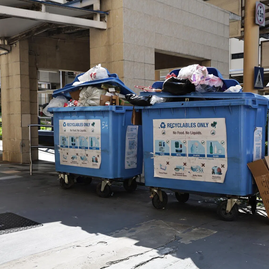 The domestic recycling rate hit a record low of 11 per cent in 2024. 