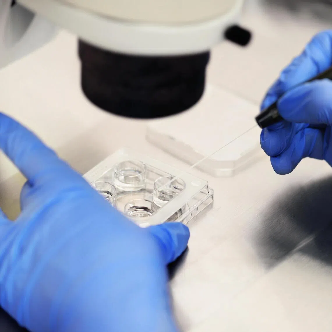 Babies born through infertility treatment such as in-vitro fertilisation or artifical insemination increased by about 37 per cent between 2019 and 2024.