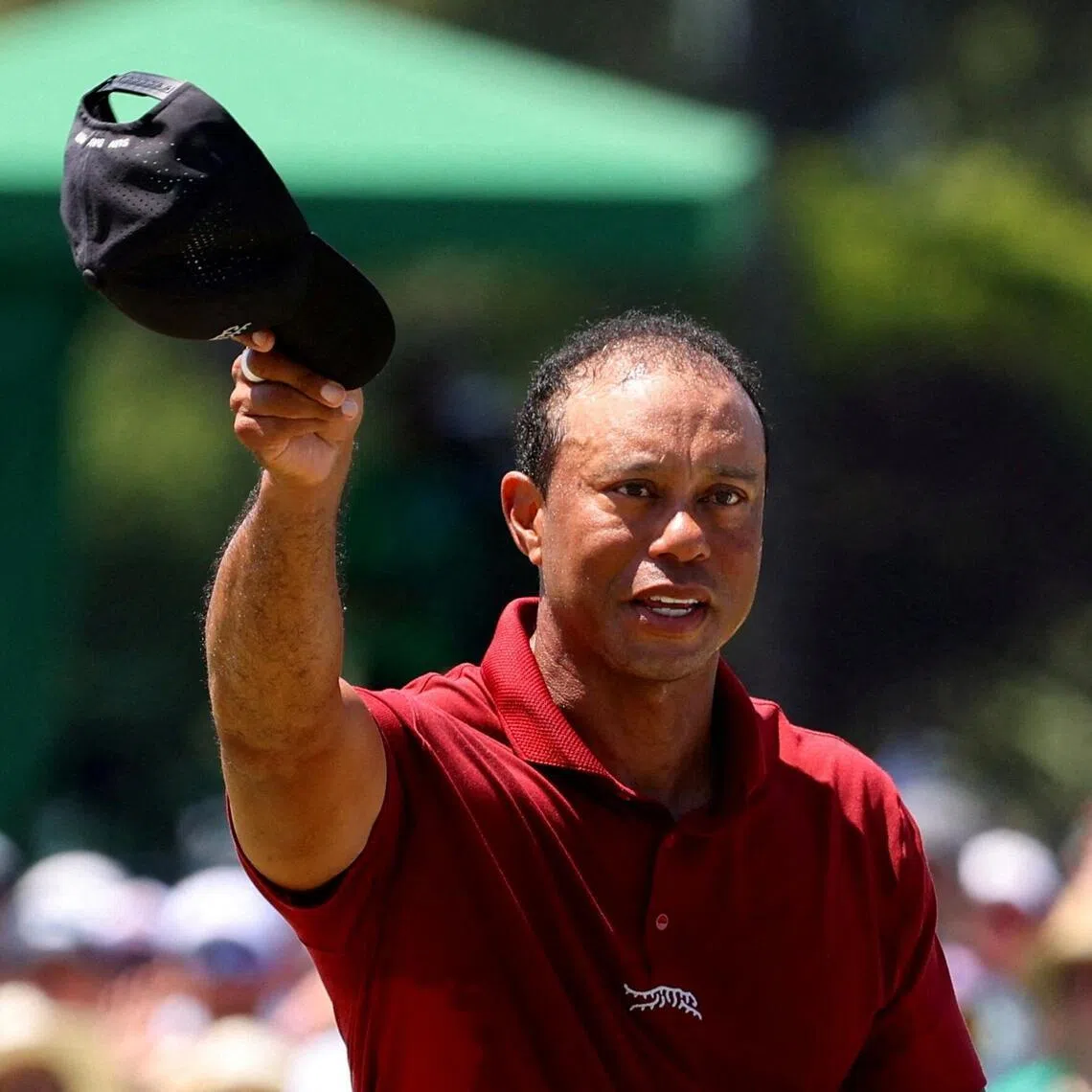 Tiger Woods entered rehab following a car crash on March 27 near his Jupiter Island, Florida, home.