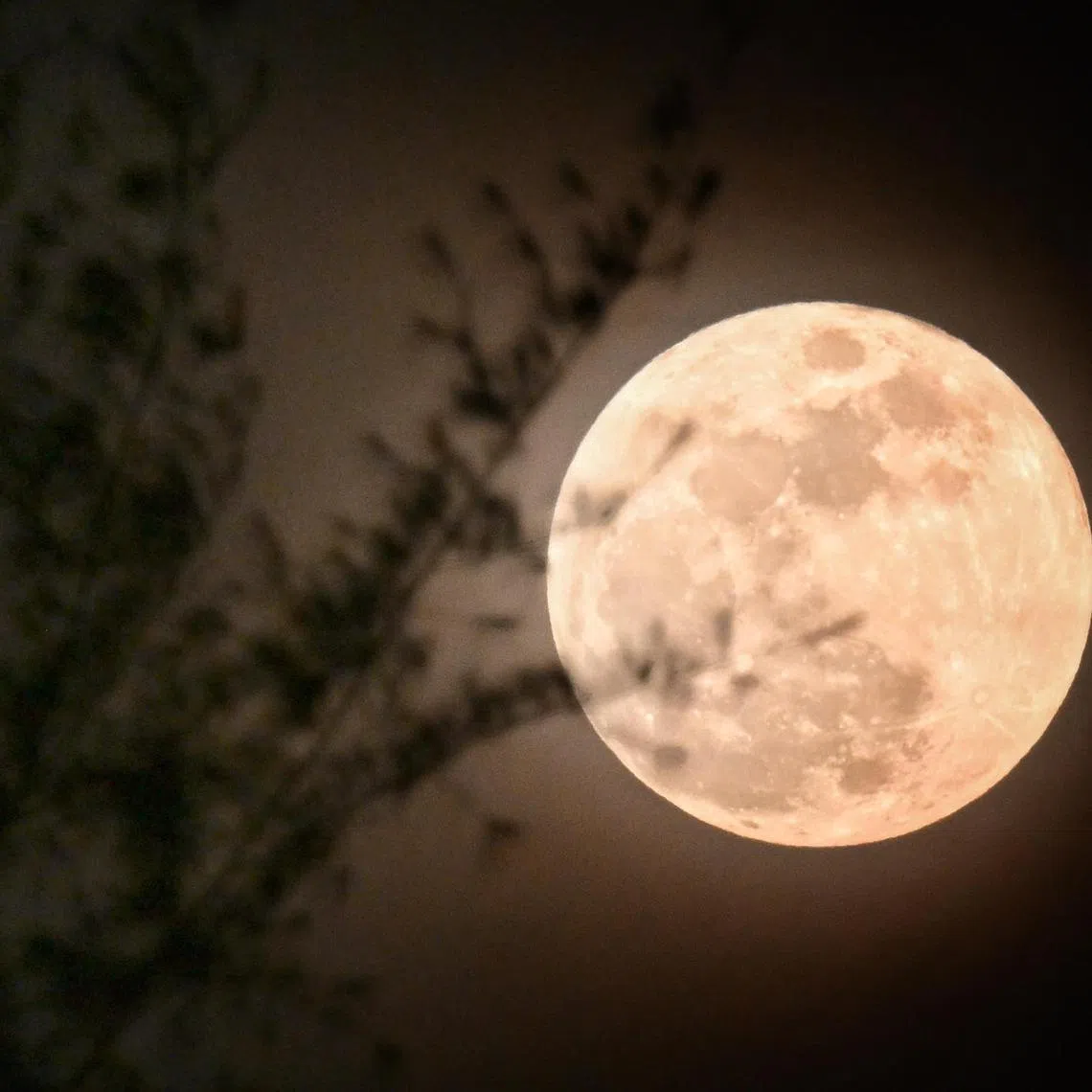 The harvest moon pictured here in Sept 2023, will make a return this year as one of five supermoon sightings in 2024. 
