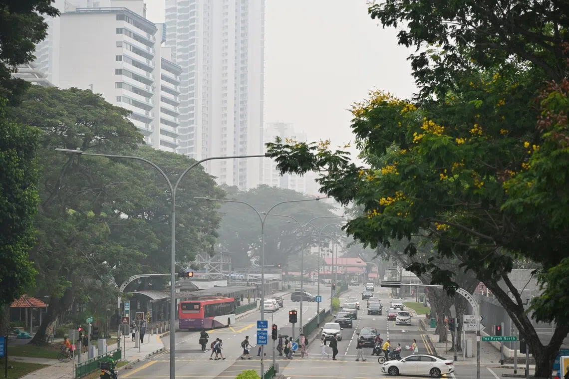 NEA said the companies’ voluntary participation in the assessment process will help establish the facts, including whether the companies have any involvement in or connection with the fires in Indonesia.