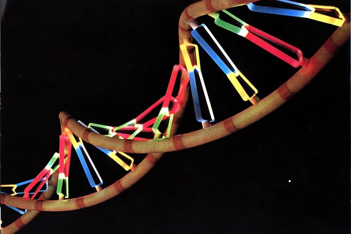 Mei’s parents paid more than US$800,000 (S$1 million) to fund the experimental genetic therapy, but were not adequately informed about the risks, the Science and Retraction Watch report said.