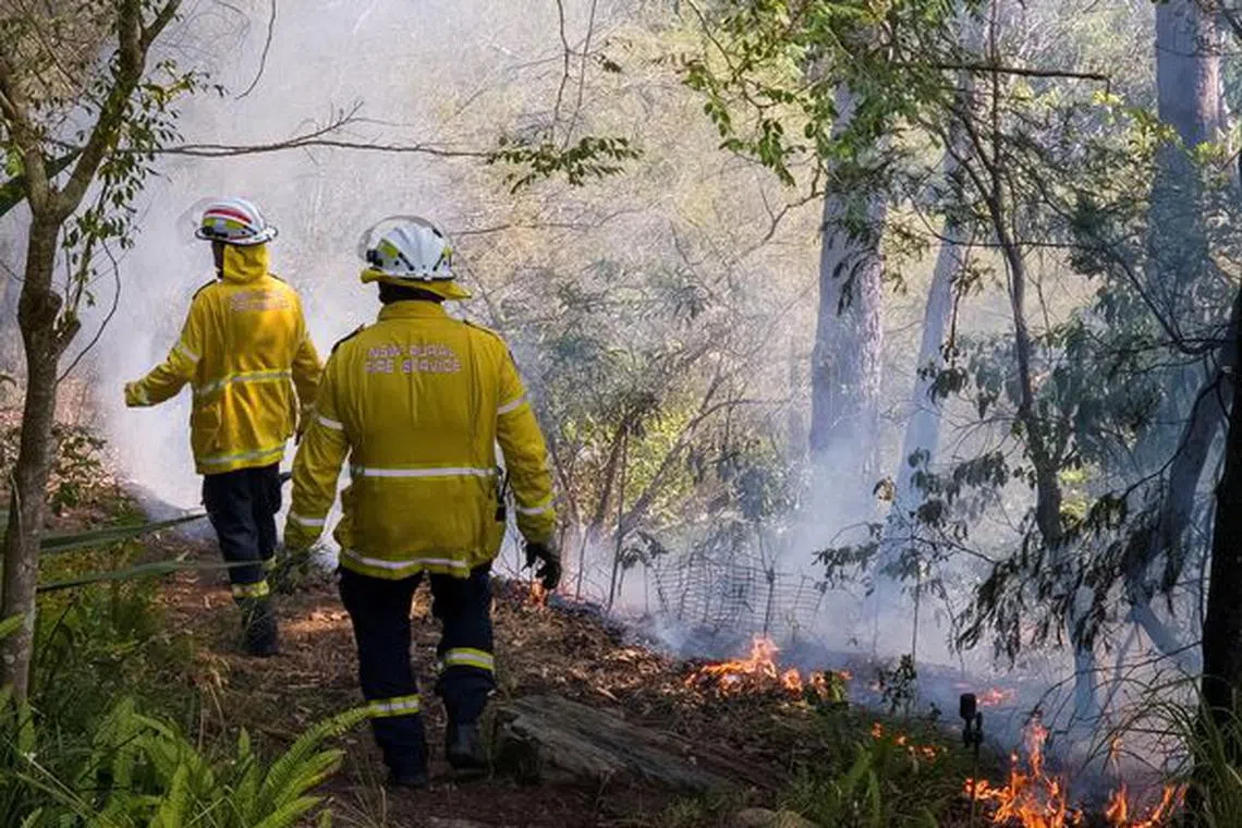 FILE PHOTO: New South Wales Rural Fire Service firefighters walk through a hazard reduction burn in Sydney, Australia, September 10, 2023. REUTERS/Cordelia Hsu/File Photo