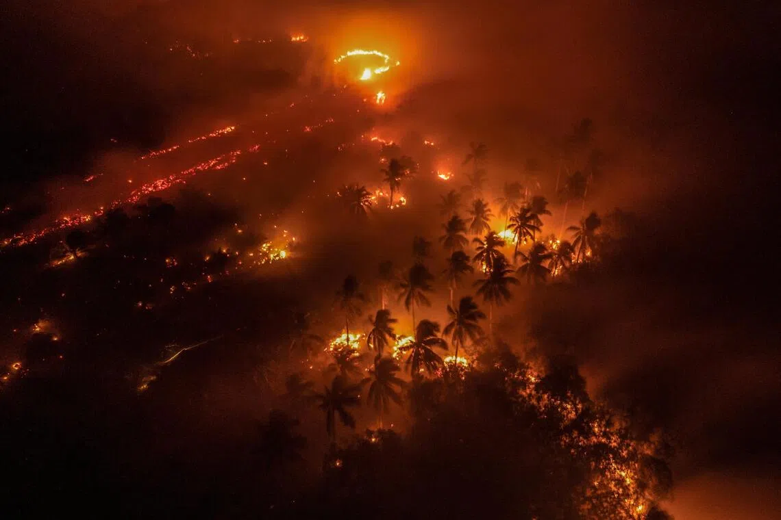 Out of 24 million hectares of Indonesian peatland, 16 million hectares have been made more fire-prone as a result of ecosystem damage.