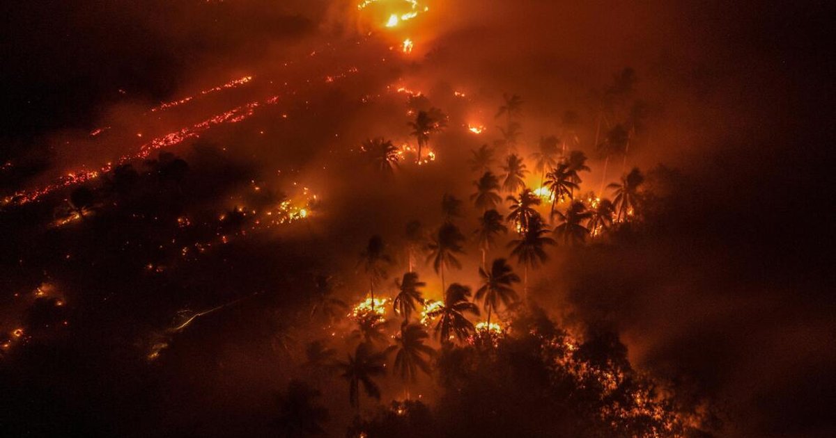 Indonesia blames peatland degradation for raging fires, vows restoration