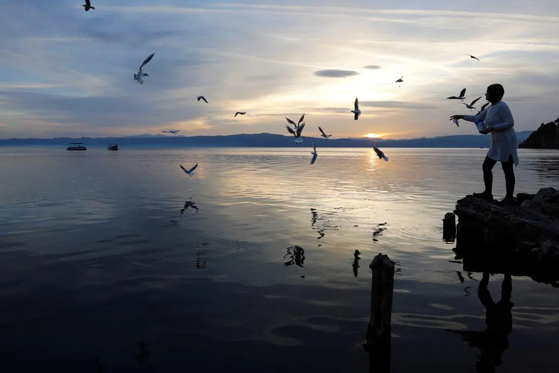 FILE PHOTO: A person throws bread crumbs to feed the gulls at Lake Ohrid, in Ohrid, North Macedonia October 24, 2020. REUTERS/Ognen Teofilovski/File Photo