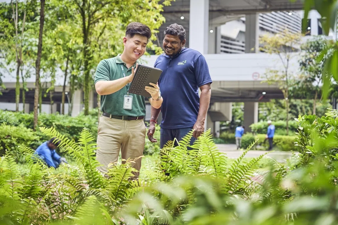 assistant facilities manager of cbre global workplace solutions at jtc defu industrial city working with horticulture vendor to review landscaping works jeremy neo